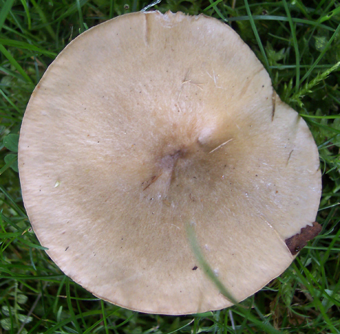 100_3367w.jpg