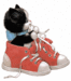 51670.gif