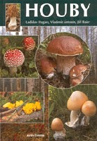 Houby_HagAntBai_Aventinum.jpg