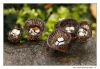 thumb__MG_5118.jpg