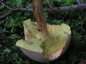 000IMG_9238.jpg