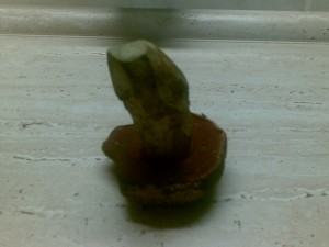 03092007.jpg
