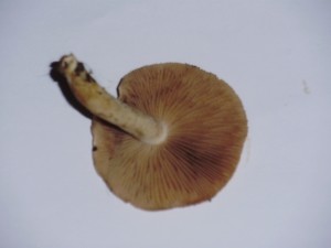 04.jpg