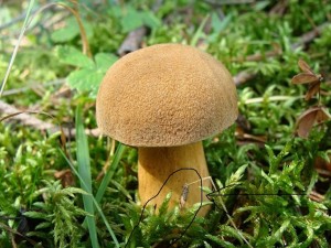 10.9.2010_611.jpg
