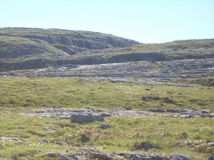 100_5173.JPG