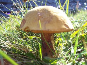 100_5189.JPG