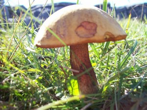 100_5192.JPG