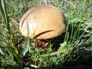 100_5193.JPG