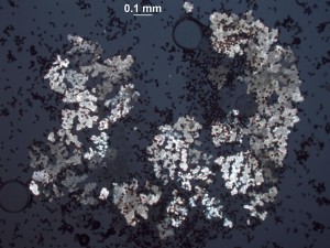 10x-xx1.jpg