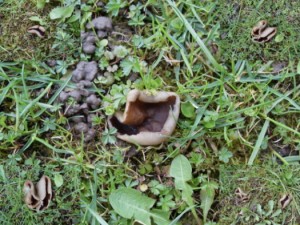 11.4.2010 001.jpg