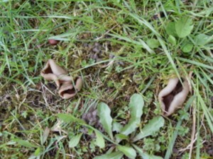 11.4.2010 004.jpg