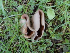 11.4.2010 006.jpg