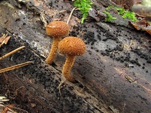 110623_01.jpg