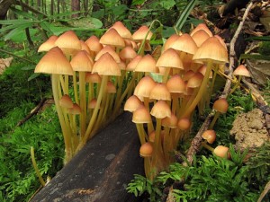 110816_2.jpg
