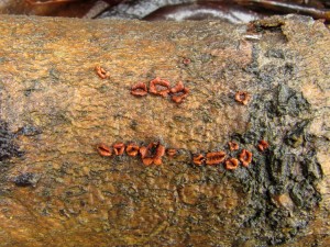 1201034.jpg