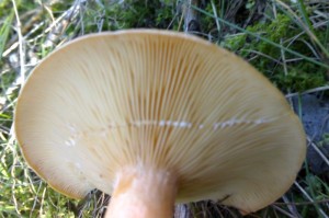 16-09-07_1427.jpg