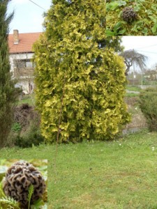 16.4.2010- 33.JPG