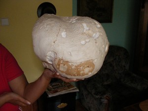 2009_05210006.jpg