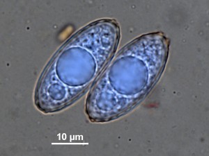 200x-3.jpg