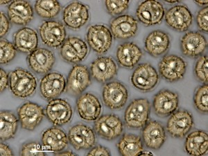 200x-4a.jpg