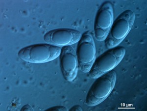 200x-5.jpg