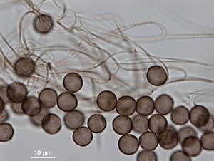 200x-7b.jpg
