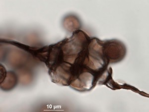 200x-8.jpg