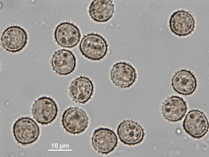 200x-9.jpg