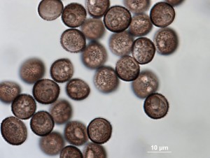 200x-9.jpg