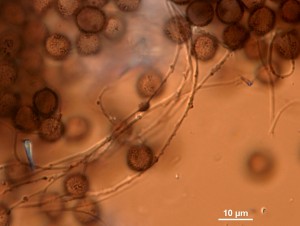 200x-9.jpg