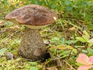 2011_10020010.jpg