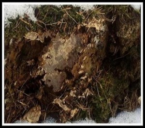 20120212_114857.jpg
