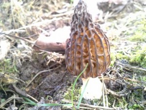 20160411_155642.jpg