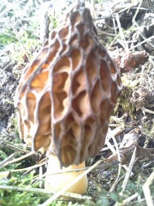 20160411_155925.jpg