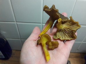 20171112_155836 - kopie.jpg