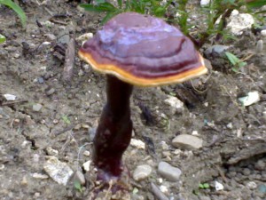 23082008111.jpg