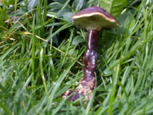 23082008112.jpg
