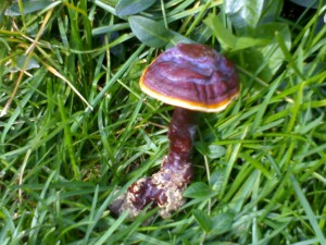 23082008113.jpg