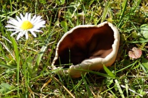 30.3.14  -9.JPG