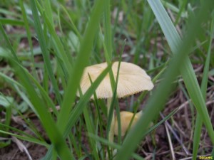 4.5.2010.JPG