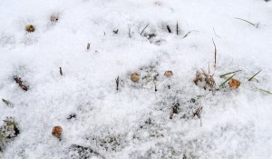 4e50f1be-4d3d8282-1a45-46dbfa6d.jpg