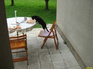 5.8.2009 001.jpg