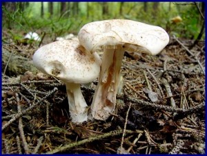 8.10.05 011.jpg