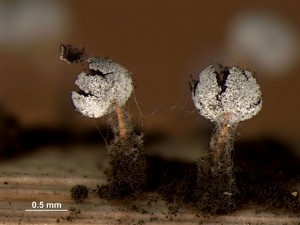99962-DSS_99957.jpg