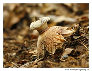 _MG_6835.jpg