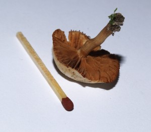 a konečně zespodu.jpg
