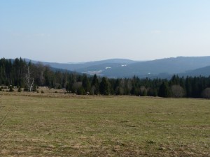 Alpská vyhlídka.jpg