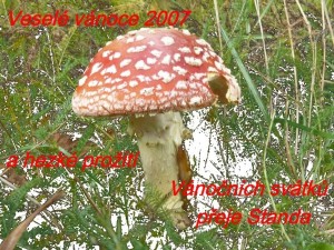 Amanita_muscaria1_Jirsek51.jpg