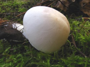 B5.jpg