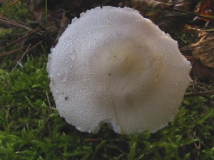B6.jpg